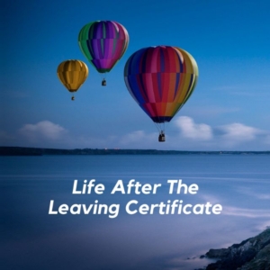 Life after the Leaving Certificate